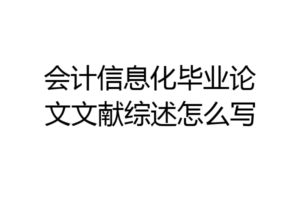 会计信息化毕业论文文献综述怎么写
