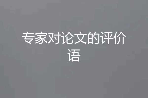 专家对论文的评价语