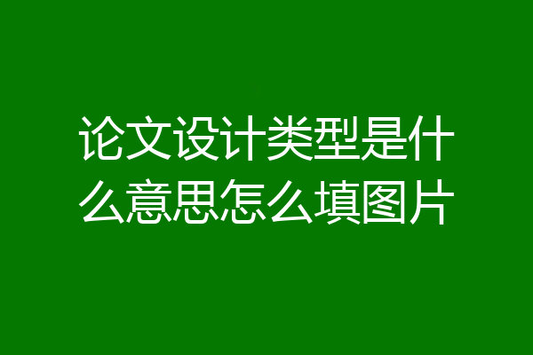 论文设计类型是什么意思怎么填图片