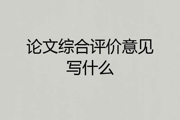 论文综合评价意见写什么