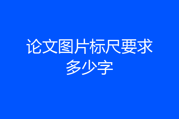 论文图片标尺要求多少字