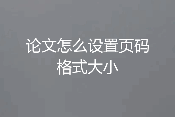 论文怎么设置页码格式大小
