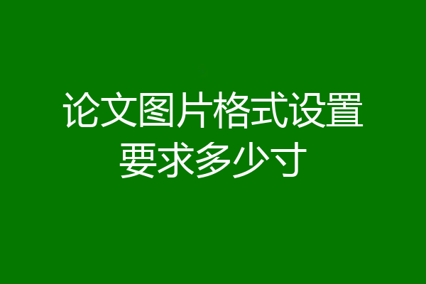 论文图片格式设置要求多少寸