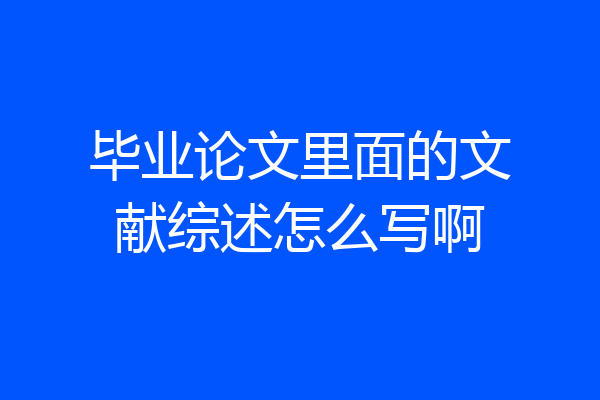 毕业论文里面的文献综述怎么写啊