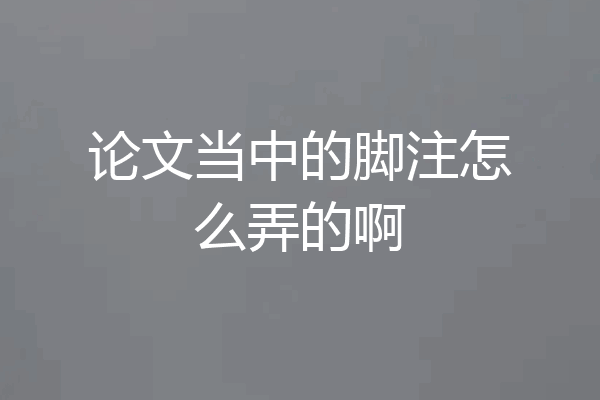 论文当中的脚注怎么弄的啊