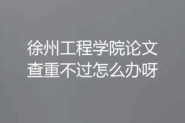 徐州工程学院论文查重不过怎么办呀