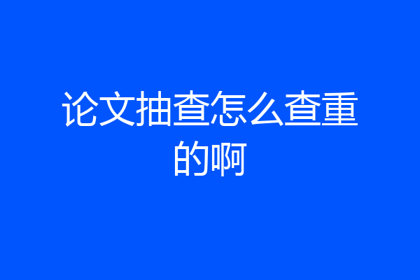 论文抽查怎么查重的啊