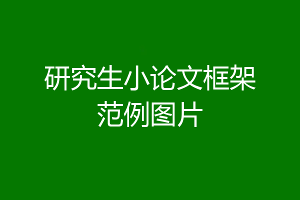 研究生小论文框架范例图片