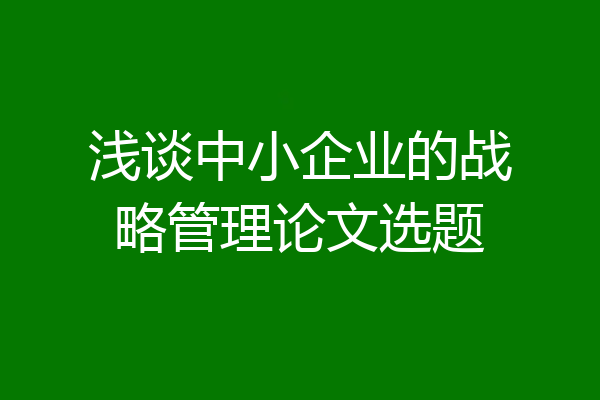 浅谈中小企业的战略管理论文选题
