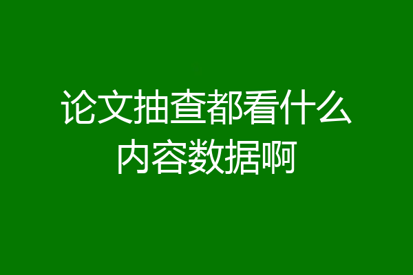 论文抽查都看什么内容数据啊