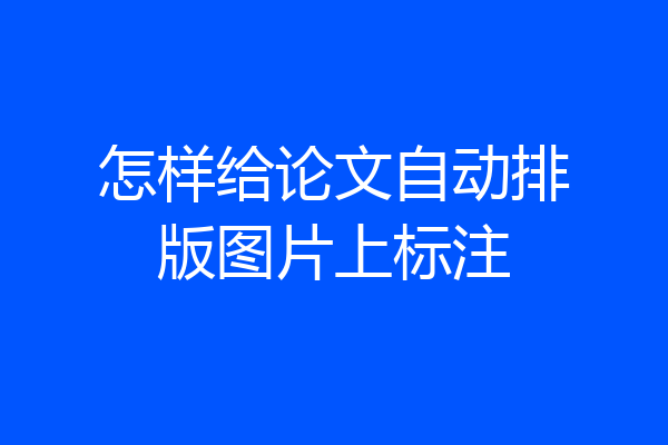 怎样给论文自动排版图片上标注