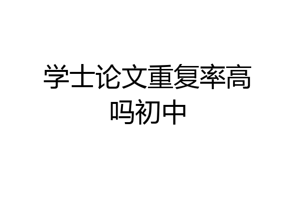 学士论文重复率高吗初中