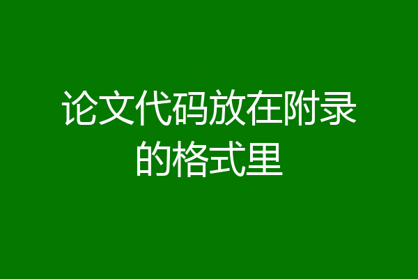 论文代码放在附录的格式里