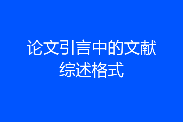 论文引言中的文献综述格式