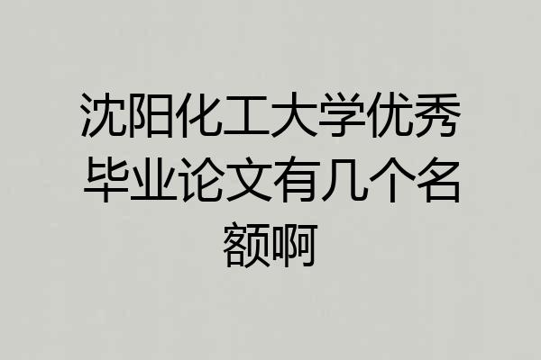 沈阳化工大学优秀毕业论文有几个名额啊