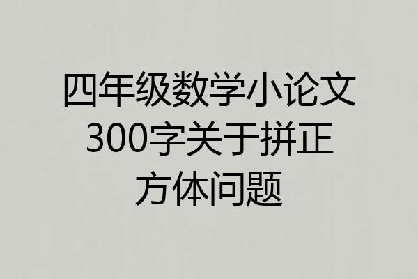 四年级数学小论文300字关于拼正方体问题