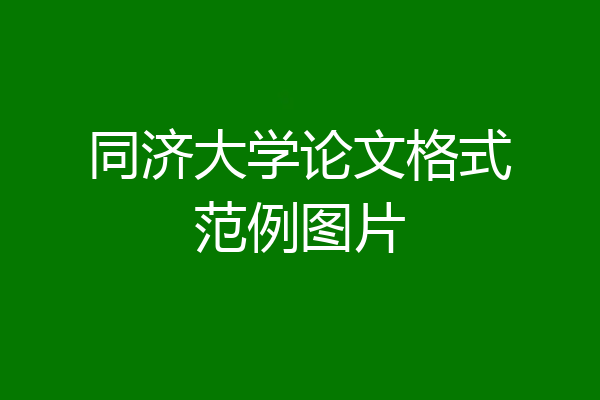 同济大学论文格式范例图片