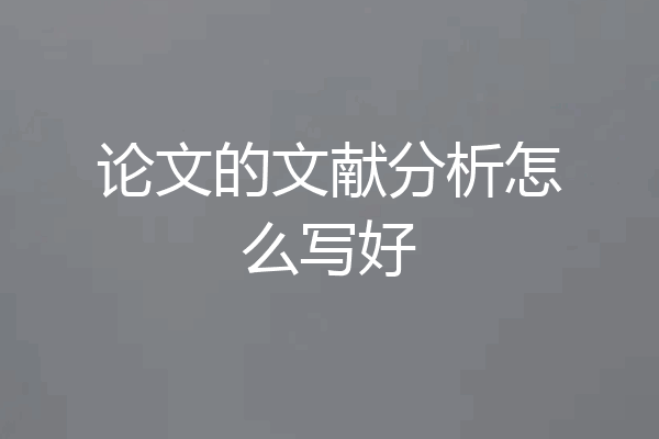 论文的文献分析怎么写好