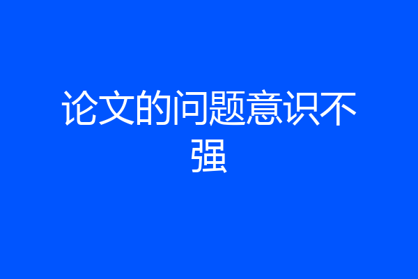 论文的问题意识不强