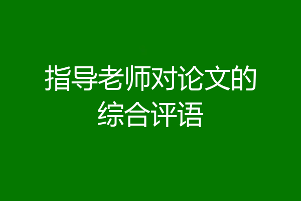 指导老师对论文的综合评语