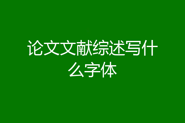 论文文献综述写什么字体