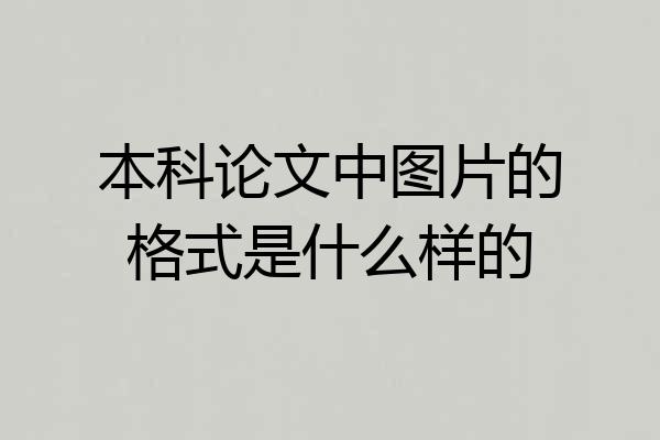本科论文中图片的格式是什么样的