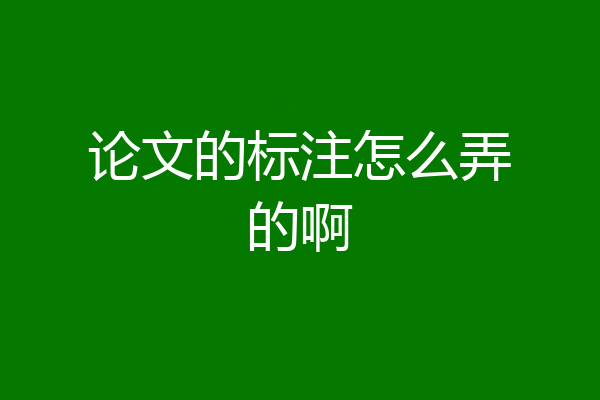 论文的标注怎么弄的啊