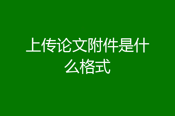 上传论文附件是什么格式