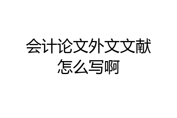 会计论文外文文献怎么写啊