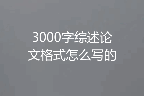 3000字综述论文格式怎么写的