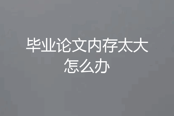 毕业论文内存太大怎么办