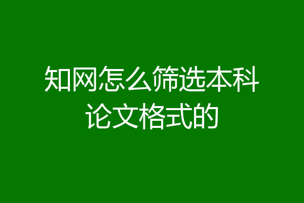 知网怎么筛选本科论文格式的