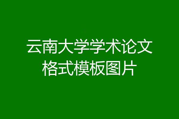 云南大学学术论文格式模板图片