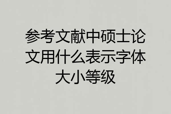 参考文献中硕士论文用什么表示字体大小等级