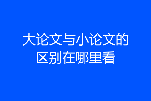 大论文与小论文的区别在哪里看