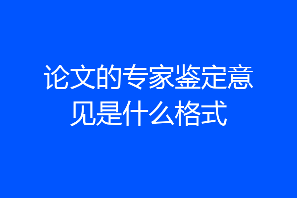 论文的专家鉴定意见是什么格式