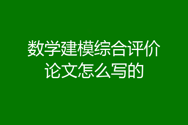 数学建模综合评价论文怎么写的