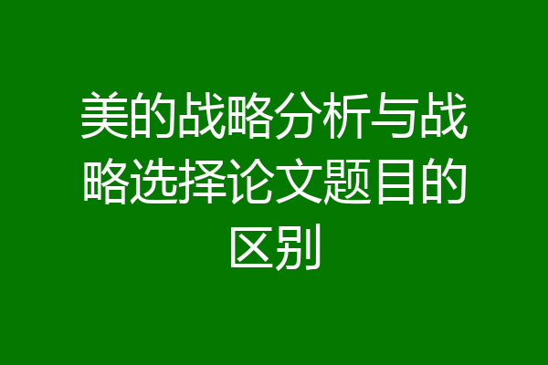 美的战略分析与战略选择论文题目的区别