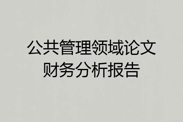 公共管理领域论文财务分析报告