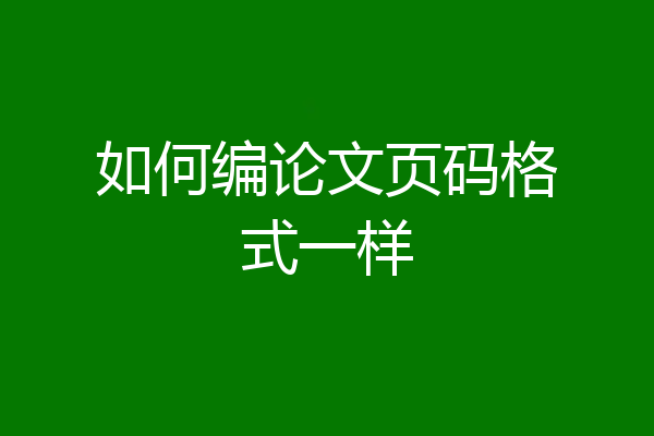如何编论文页码格式一样