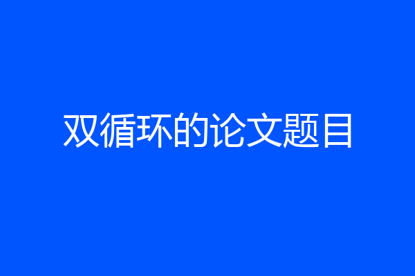双循环的论文题目