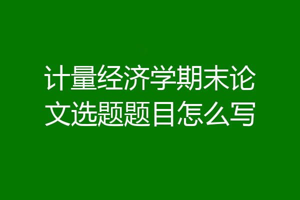计量经济学期末论文选题题目怎么写
