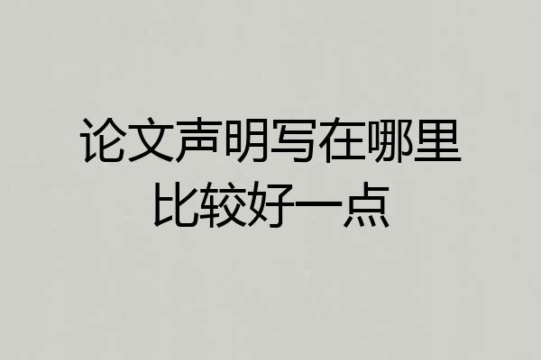 论文声明写在哪里比较好一点