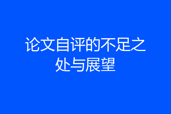 论文自评的不足之处与展望