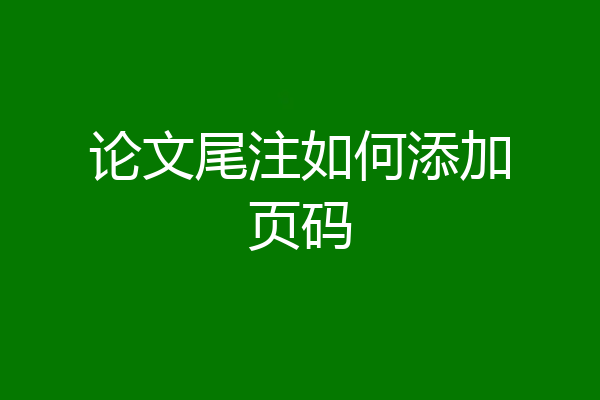 论文尾注如何添加页码