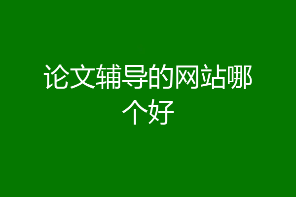 论文辅导的网站哪个好