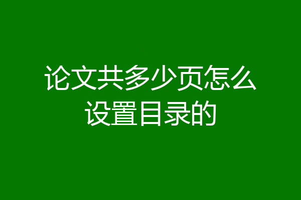 论文共多少页怎么设置目录的