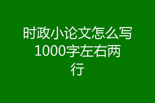时政小论文怎么写1000字左右两行