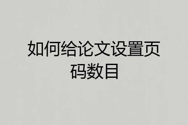 如何给论文设置页码数目