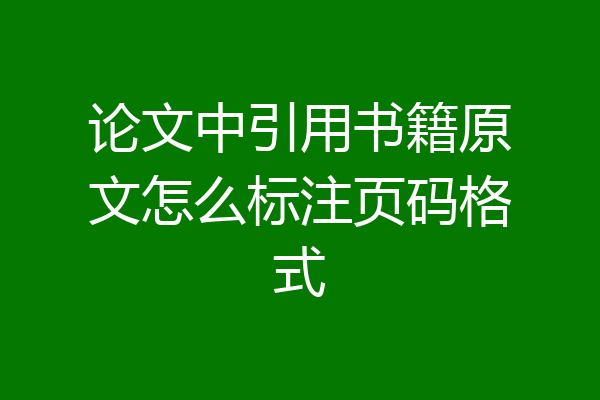 论文中引用书籍原文怎么标注页码格式